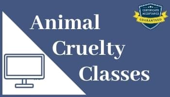 Online Animal Cruelty Classes Pet Abuse Neglect