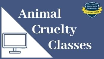 online animal cruelty classes pet abuse neglect