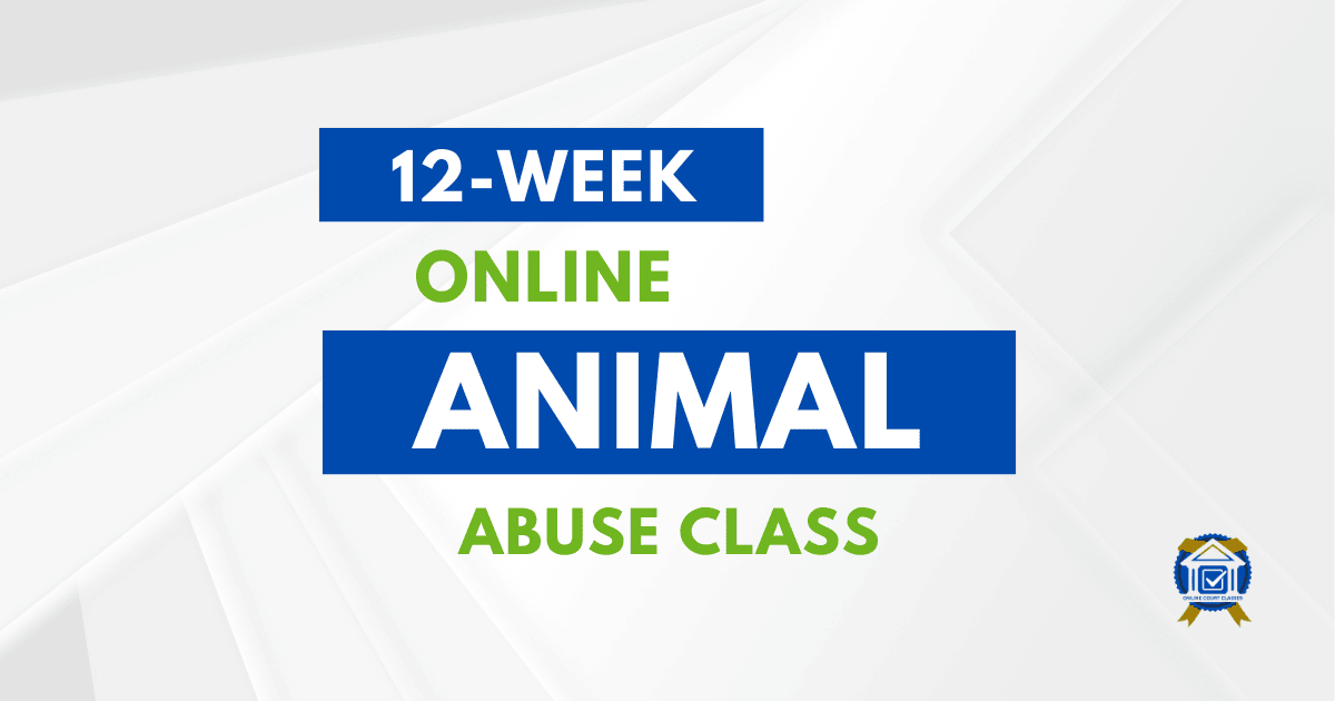 12-week online animal abuse class, with completion certificate included (USA).