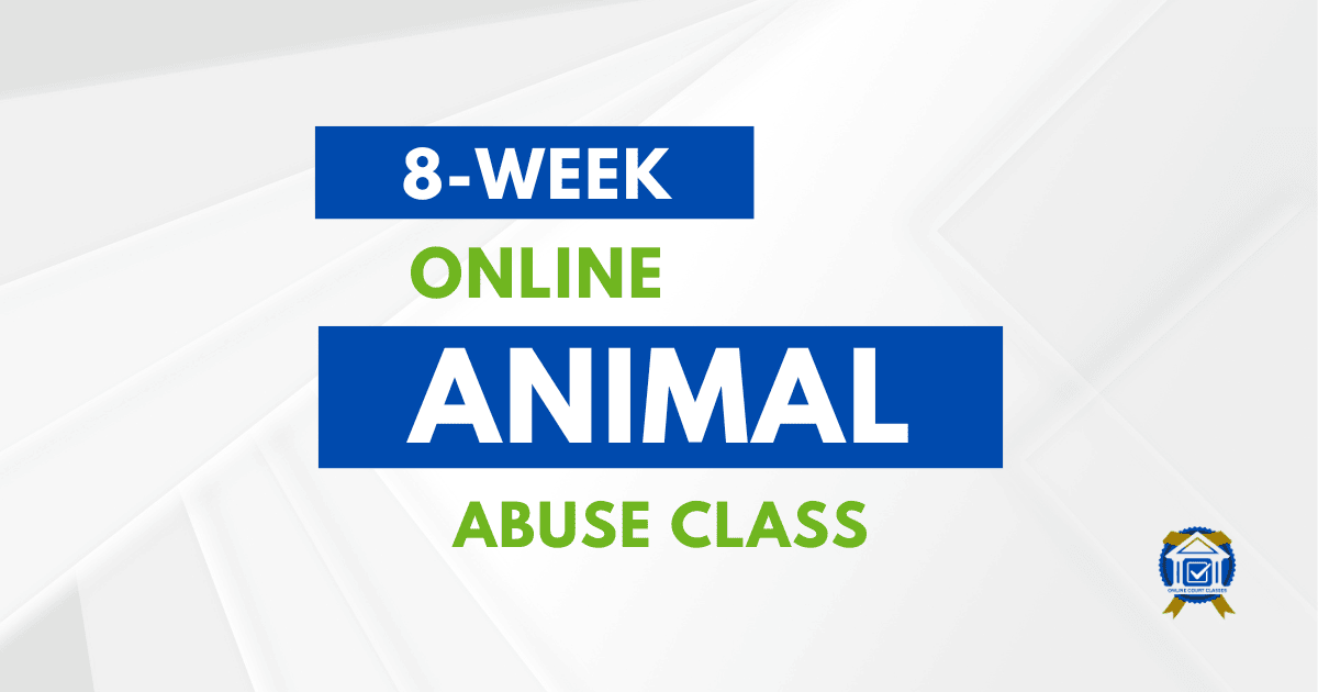 8-week online animal abuse class, with completion certificate included (USA).